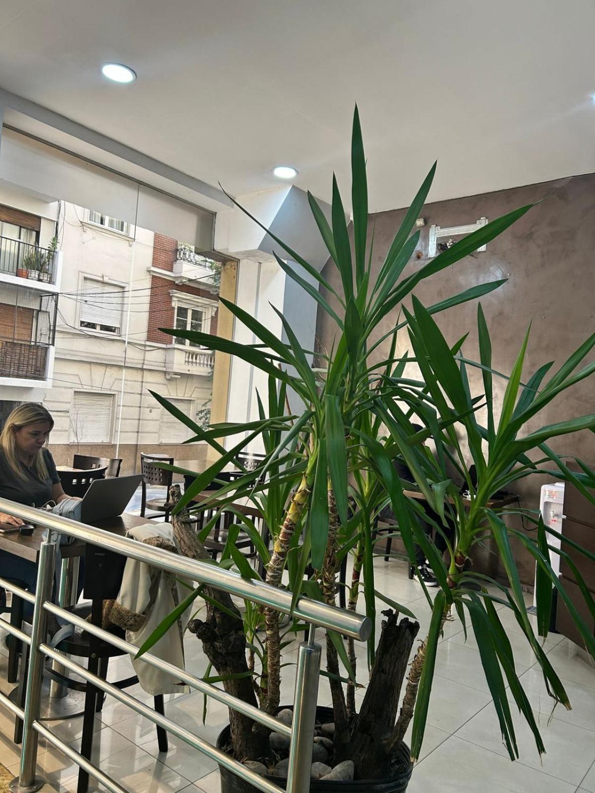 Hostel Che Ba Μπουένος Άιρες Εξωτερικό φωτογραφία